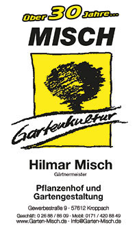 Hilmar Misch
