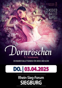 Plakat-Dornröschen-030425.jpg