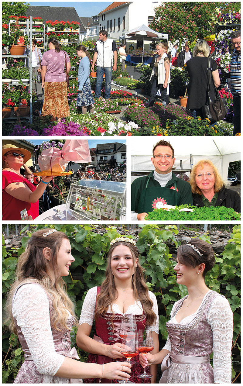 Bild-Blumenmarkt-3-19-1.jpg