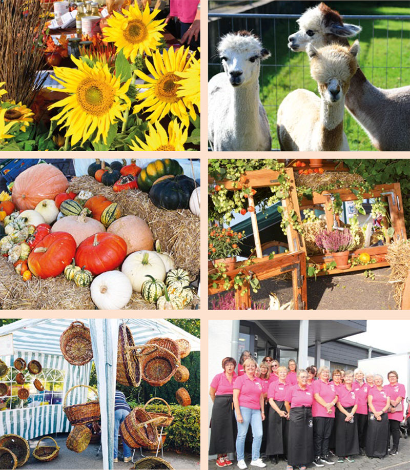 Bilder-Bauernmarkt.jpg