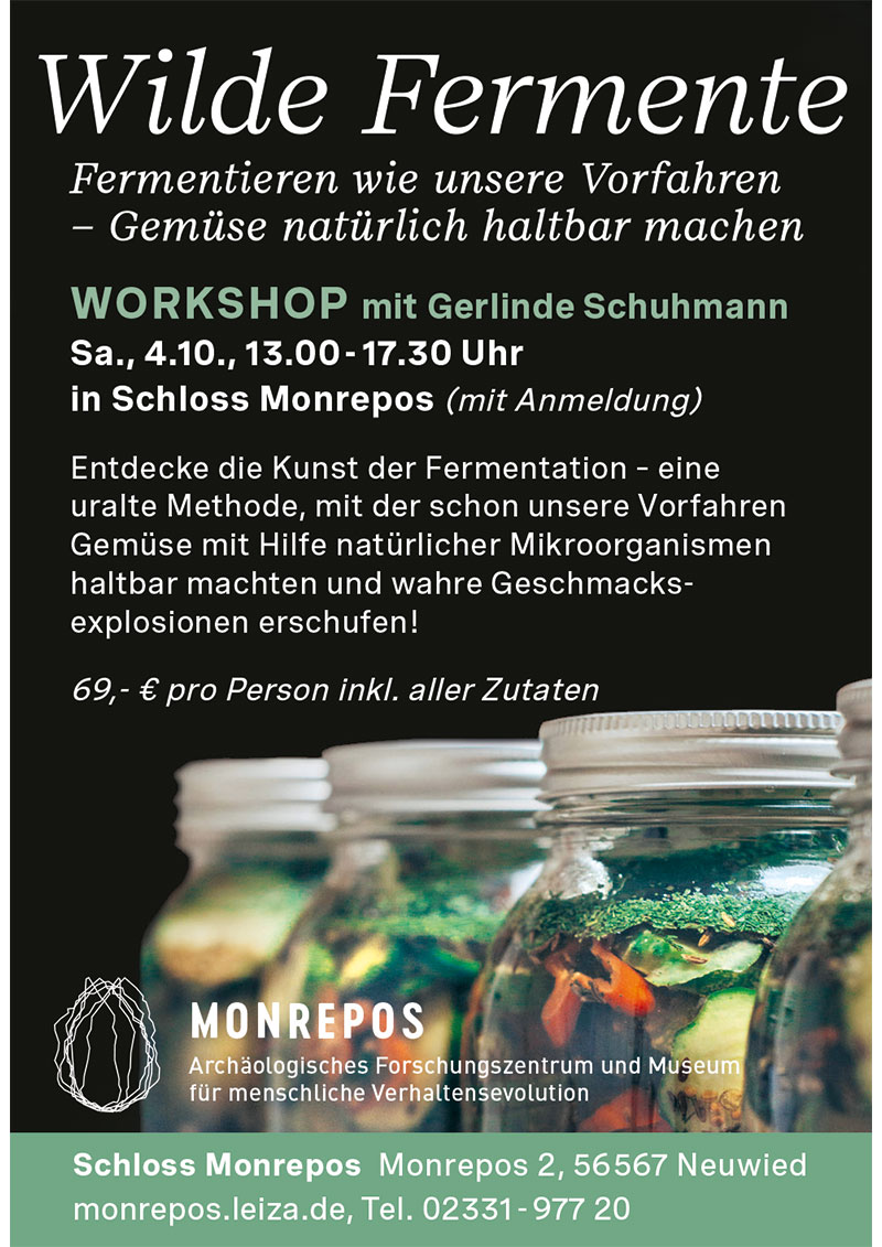 Anzeige-Monrepos-Evolution-der-Gewalt.jpg